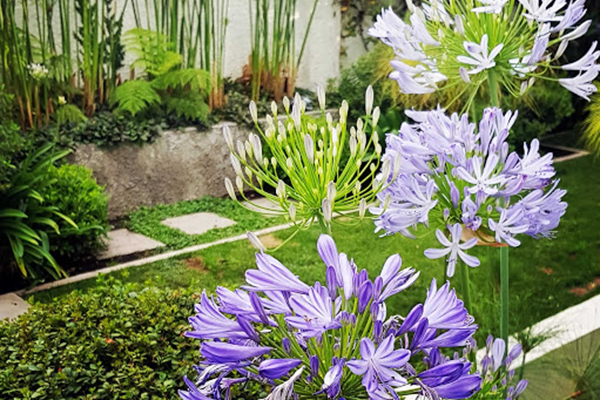 Calendario Cristiano 2019 Imagenes Cristianas